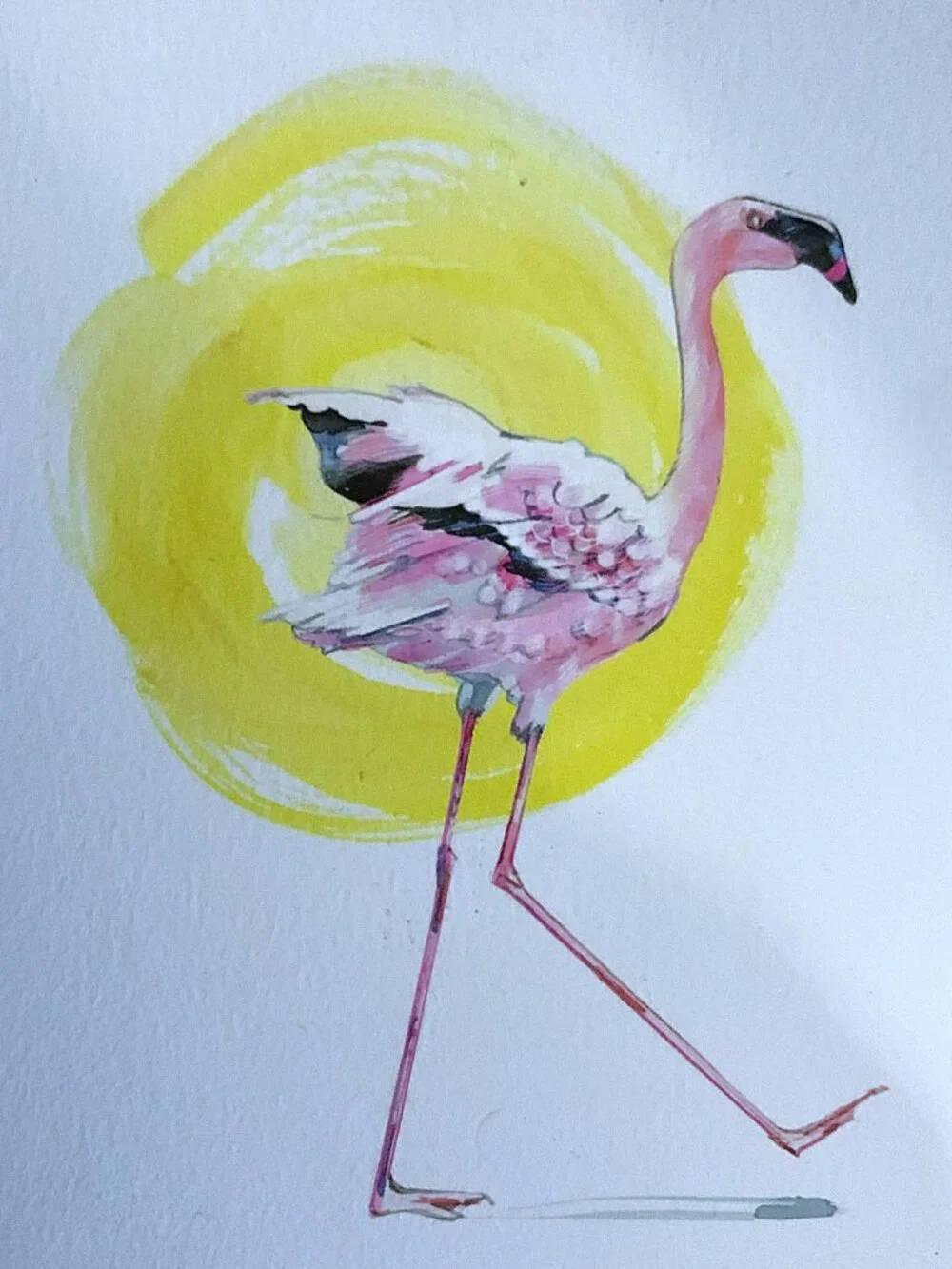 NEW Tropical Flamingo & Hibiscus Fabric Shower Curtain & Flamingo Art Card